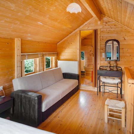 Zeus-Village Οικισμός Φινλανδικών Chalet Με Πισίνες & Γυμναστήριο Molos  외부 사진